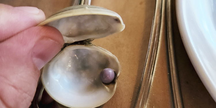 Quahog Pearls